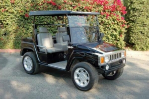affordable golf cart rental, golf cart rent greensboro golf cart rental 